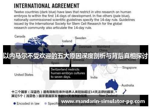 以内马尔不受欢迎的五大原因深度剖析与背后真相探讨
