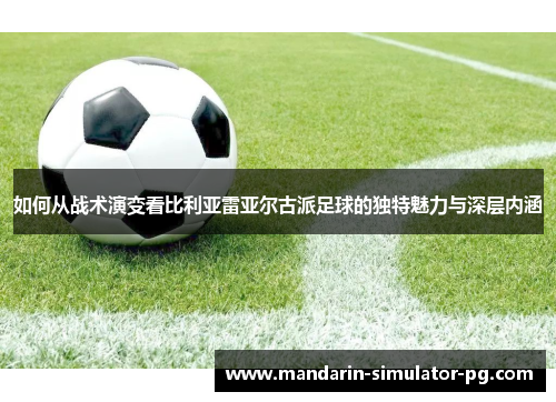 如何从战术演变看比利亚雷亚尔古派足球的独特魅力与深层内涵