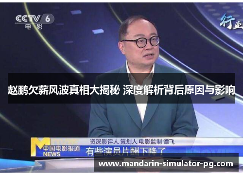 赵鹏欠薪风波真相大揭秘 深度解析背后原因与影响