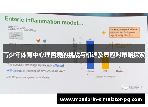 青少年体育中心理困境的挑战与机遇及其应对策略探索