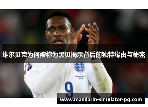 维尔贝克为何被称为黑贝揭示背后的独特缘由与秘密