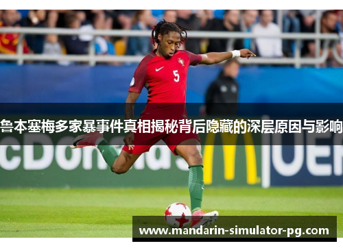 鲁本塞梅多家暴事件真相揭秘背后隐藏的深层原因与影响