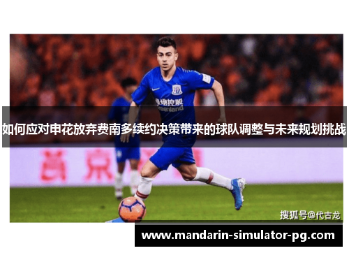 如何应对申花放弃费南多续约决策带来的球队调整与未来规划挑战