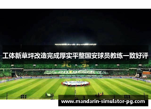 工体新草坪改造完成厚实平整国安球员教练一致好评