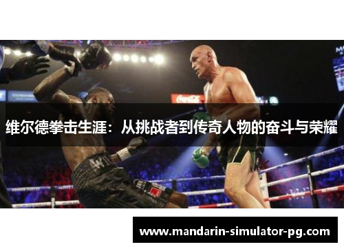 维尔德拳击生涯：从挑战者到传奇人物的奋斗与荣耀