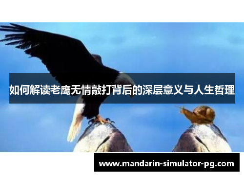 如何解读老鹰无情敲打背后的深层意义与人生哲理