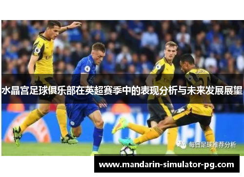 水晶宫足球俱乐部在英超赛季中的表现分析与未来发展展望 水晶宫足球俱乐部在英超赛季中的表现分析与未来发展展望